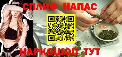 ешки Пугачёв