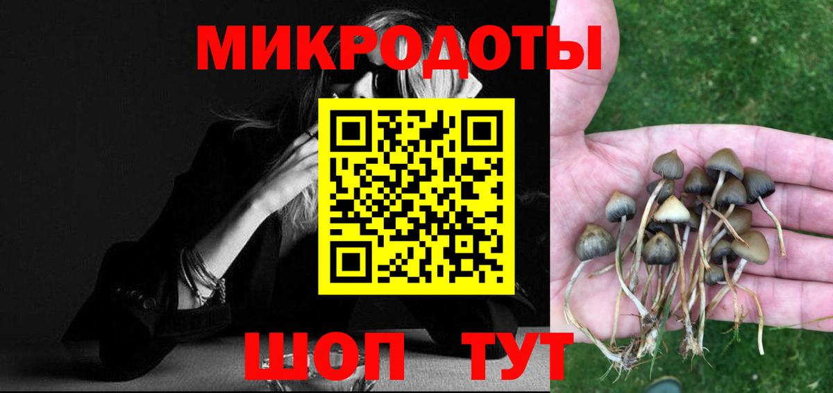 Псилоцибиновые грибы мицелий  Галлюциногенные грибы Cubensis  Саянск  Вход с VPN 