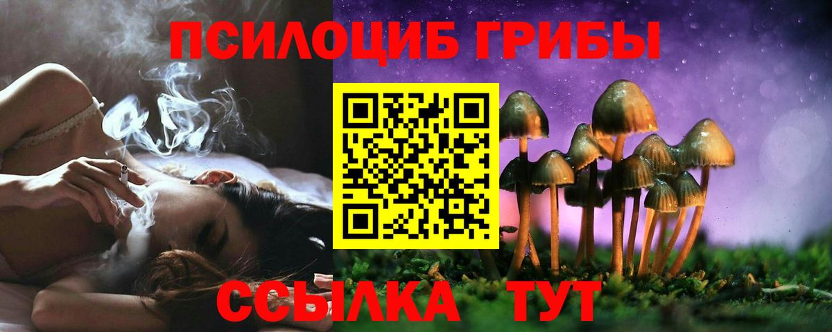Галлюциногенные грибы MAGIC MUSHROOMS Саянск